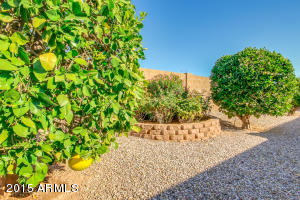 10928 E Lindner Ave, Mesa, AZ 85209 photo 29