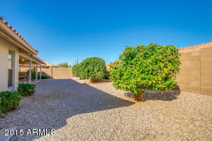 10928 E Lindner Ave, Mesa, AZ 85209 photo 31
