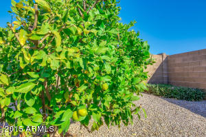 10928 E Lindner Ave, Mesa, AZ 85209 photo 30