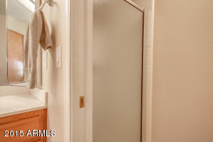 10928 E Lindner Ave, Mesa, AZ 85209 photo 21