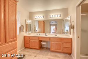 10928 E Lindner Ave, Mesa, AZ 85209 photo 19