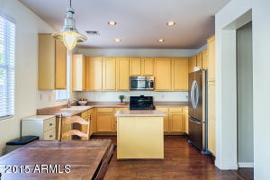 1338 E Frances Ln, Gilbert, AZ 85295 photo 10