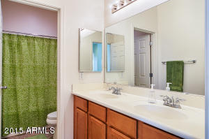 1338 E Frances Ln, Gilbert, AZ 85295 photo 28