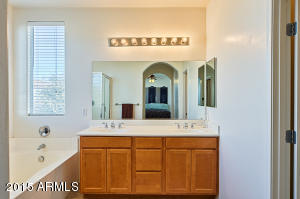 1338 E Frances Ln, Gilbert, AZ 85295 photo 21