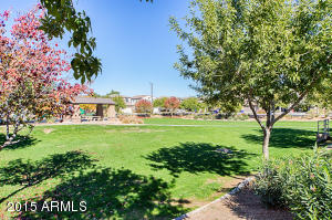 1338 E Frances Ln, Gilbert, AZ 85295 photo 35