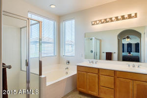 1338 E Frances Ln, Gilbert, AZ 85295 photo 22