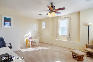1338 E Frances Ln, Gilbert, AZ 85295 photo 30