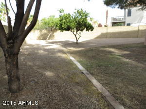 3630 E Renee Dr, Phoenix, AZ 85050 photo 28