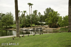 343 E Scott Ave, Gilbert, AZ 85234 photo 32