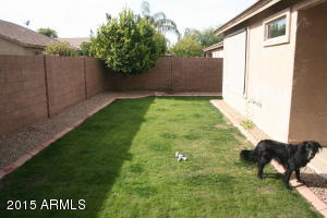 4299 E Megan St, Gilbert, AZ 85295 photo 21