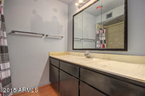 4349 E Carmel Cir, Mesa, AZ 85206 photo 18