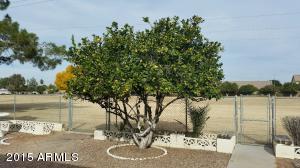 4436 E Covina St, Mesa, AZ 85205 photo 24