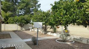 4436 E Covina St, Mesa, AZ 85205 photo 7