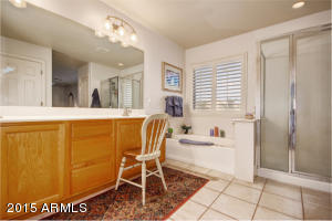 9541 E Jan Ave, Mesa, AZ 85209 photo 27