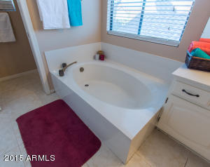 30 E Caroline Ln, Tempe, AZ 85284 photo 39