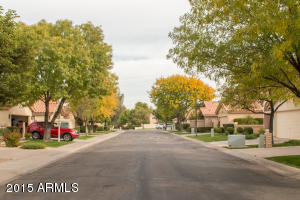 30 E Caroline Ln, Tempe, AZ 85284 photo 53