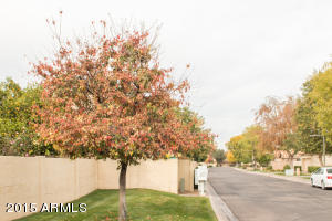 30 E Caroline Ln, Tempe, AZ 85284 photo 58
