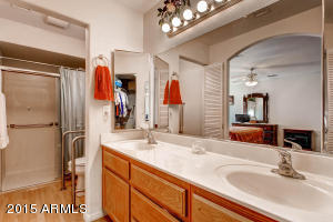 11503 E Nido Ave, Mesa, AZ 85209 photo 19