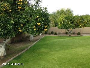 3256 E Jaeger Cir, Mesa, AZ 85213 photo 42