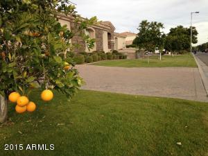 3256 E Jaeger Cir, Mesa, AZ 85213 photo 45