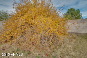 1225 S Maple --, Mesa, AZ 85206 photo 55