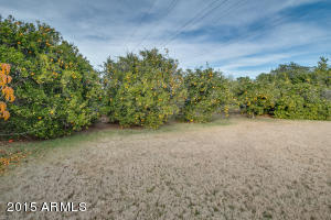 1225 S Maple --, Mesa, AZ 85206 photo 53