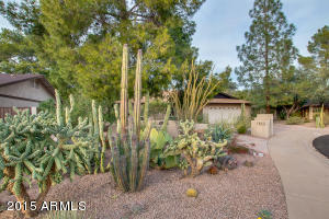 1814 E Harmont Dr, Phoenix, AZ 85020 photo 5
