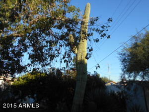 5725 E Cicero Rd, Mesa, AZ 85205 photo 28