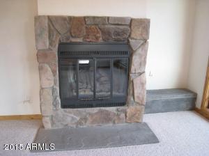 1405 E Frontier St, Payson, AZ 85541 photo 20