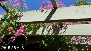 310 Briggs Ave, Bisbee, AZ 85603 photo 33
