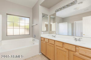 3448 E Flower St, Gilbert, AZ 85298 photo 18