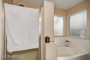 2838 E Pontiac Dr, Phoenix, AZ 85050 photo 11