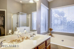 10259 E Plata Ave, Mesa, AZ 85212 photo 32