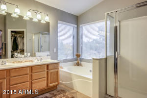 10259 E Plata Ave, Mesa, AZ 85212 photo 31