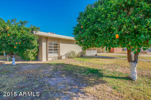2918 E Turquoise Dr, Phoenix, AZ 85028 photo 41