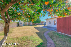 2918 E Turquoise Dr, Phoenix, AZ 85028 photo 4