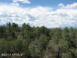 2004 E Thunder Mtn, Payson, AZ 85541 photo 7