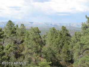 2004 E Thunder Mtn, Payson, AZ 85541 photo 8
