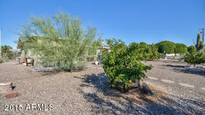 6141 E Decatur St, Mesa, AZ 85205 photo 25
