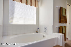 3525 E Rosemonte Dr, Phoenix, AZ 85050 photo 24