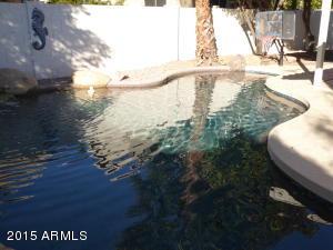 8420 S Maple Ave, Tempe, AZ 85284 photo 6