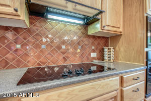 4573 E Carob Dr, Gilbert, AZ 85298 photo 16