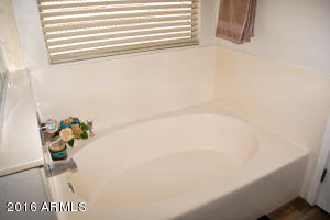 2607 S Ananea --, Mesa, AZ 85209 photo 45