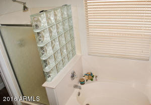 2607 S Ananea --, Mesa, AZ 85209 photo 47
