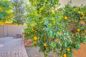 2657 E Clifton Ave, Gilbert, AZ 85295 photo 29