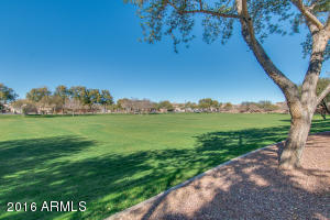 2657 E Clifton Ave, Gilbert, AZ 85295 photo 44