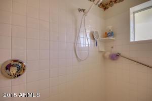 11544 E Nido Ave, Mesa, AZ 85209 photo 23