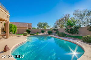 10119 E Lobo Ave, Mesa, AZ 85209 photo 38