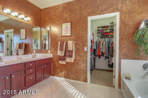 10119 E Lobo Ave, Mesa, AZ 85209 photo 31