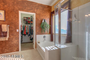 10119 E Lobo Ave, Mesa, AZ 85209 photo 29